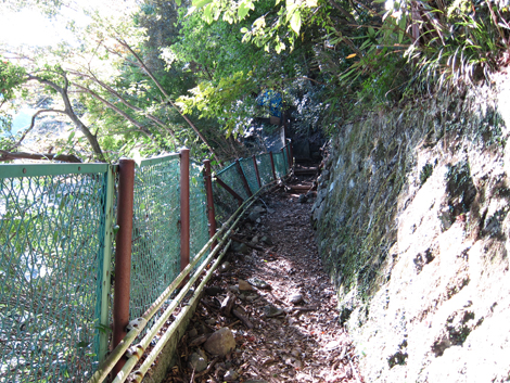 20201105hike (10)